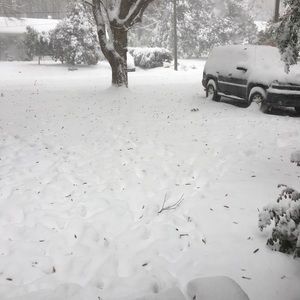 Meet your Posher, Joe